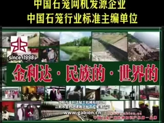 رهبري صنعت گابيون: جينليدا - از ملي به جهانی